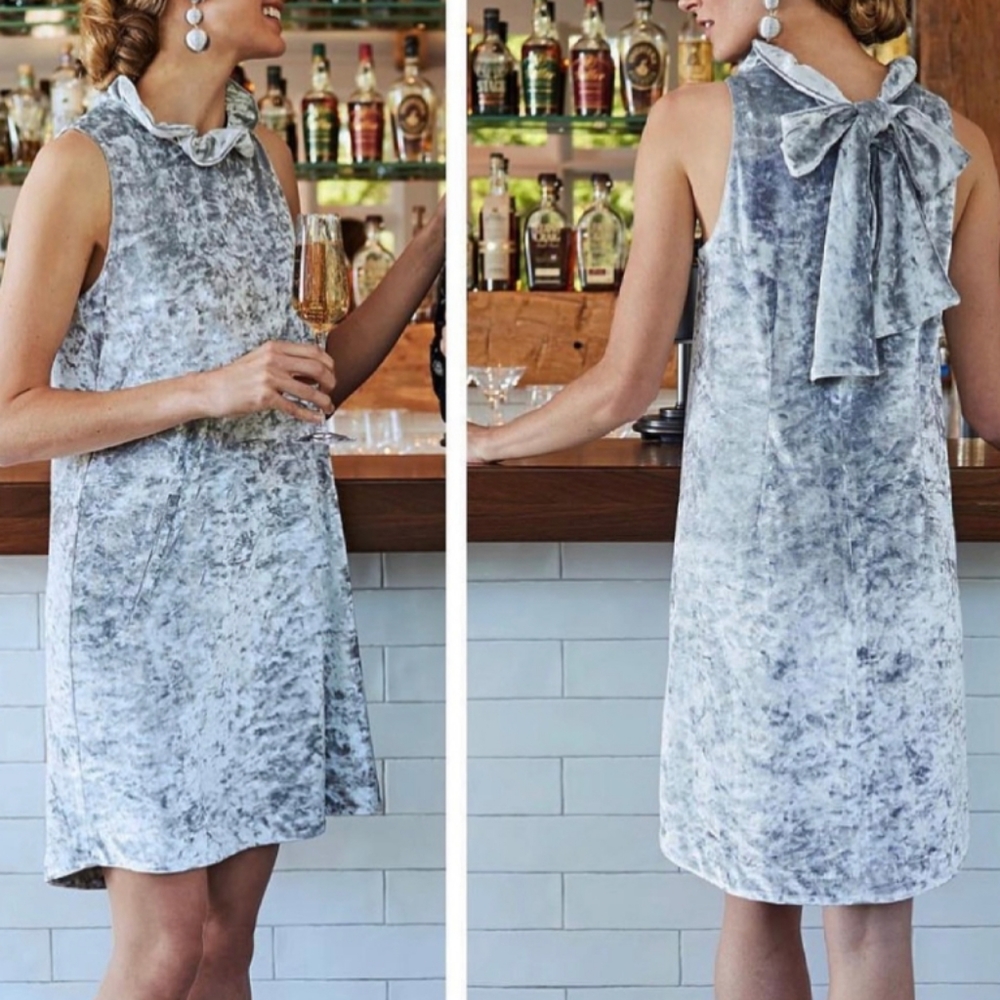 Tyler Boe Dress Silver Velvet NEW